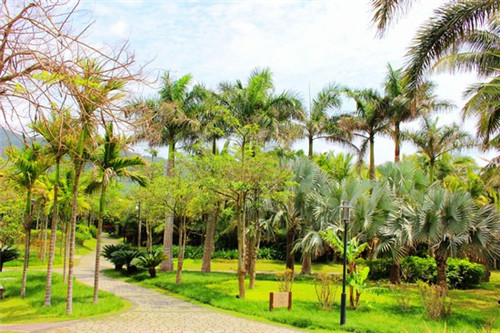 尕记锅魁酸辣粉