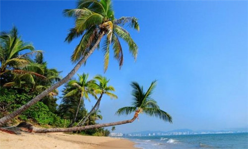 大斌家串串火锅