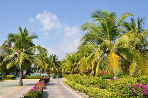 女装店创业好干吗