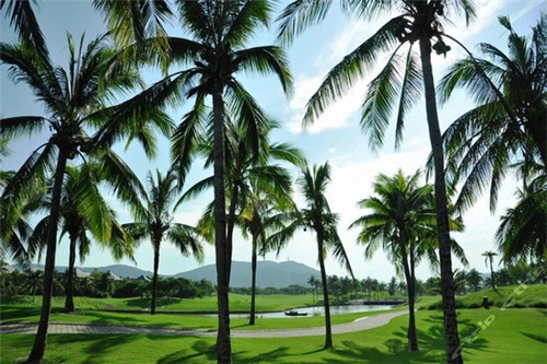 奶茶店的好处，奶茶店的优势与劣势分析总结