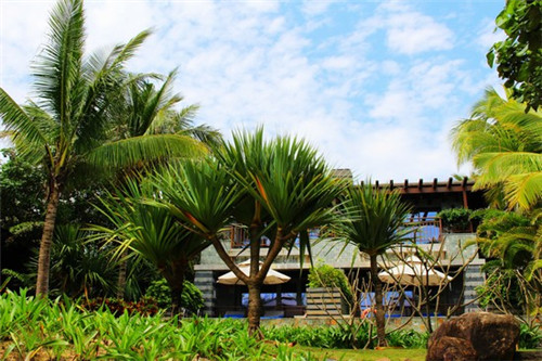 奶茶店奶茶价格平均多少