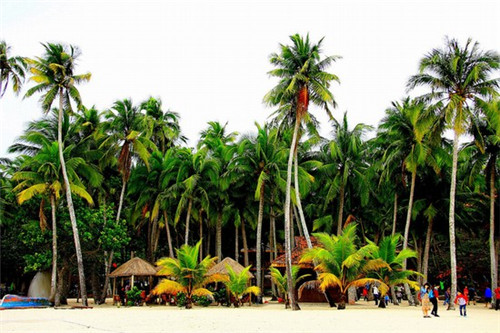 棕色适合客厅吗装修风格（客厅棕色家具配什么颜色窗帘）